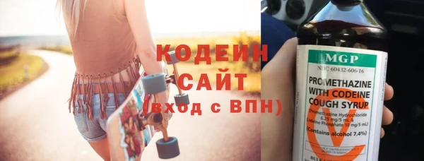 хмурый Дмитровск