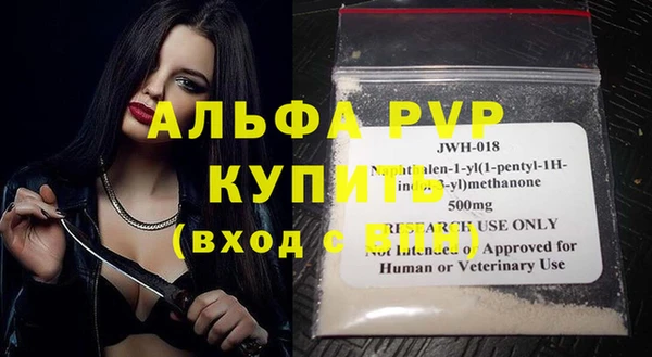 хмурый Дмитровск